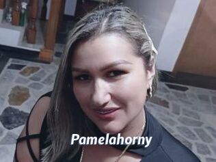 Pamelahorny