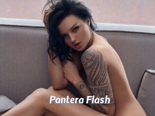 Pantera_Flash