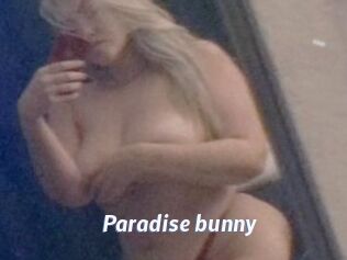 Paradise_bunny
