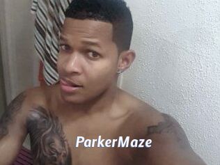 Parker_Maze