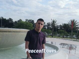 PeaceofLoves