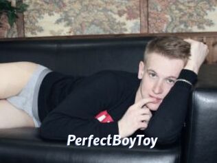 PerfectBoyToy