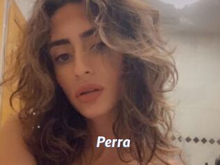 Perra Sexe amateur contributions