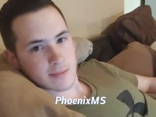 PhoenixMS