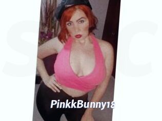 PinkkBunny18