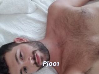 Pj001