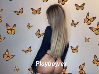 Playboyrex