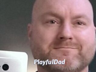 PlayfulDad