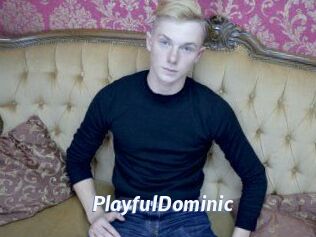 PlayfulDominic
