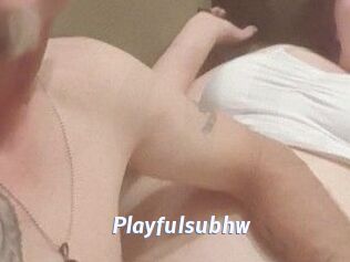 Playfulsubhw