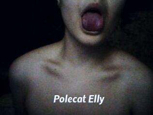 Polecat_Elly