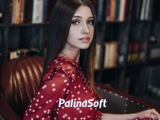PolinaSoft