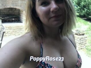 PoppyRose23