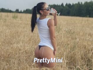 PrettyMini