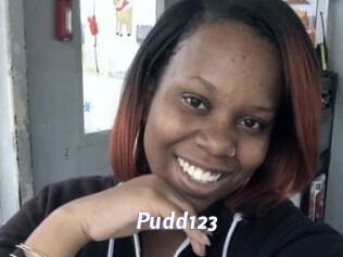 Pudd123 Sexe amateur contributions