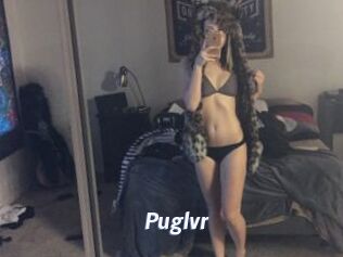Puglvr