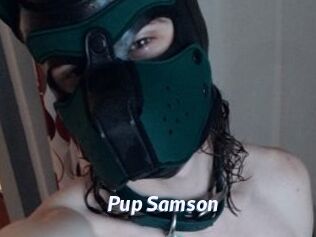 Pup_Samson