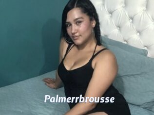 Palmerrbrousse