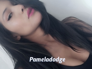 pameladodge Sexe amateur contributions
