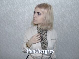 Panthergrey