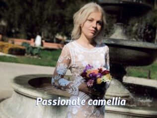 Passionate_camellia