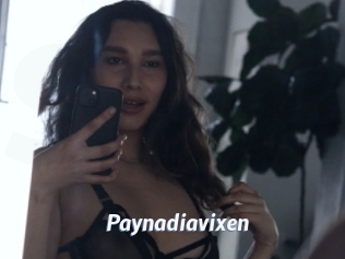 Paynadiavixen