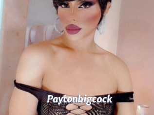 Paytonbigcock