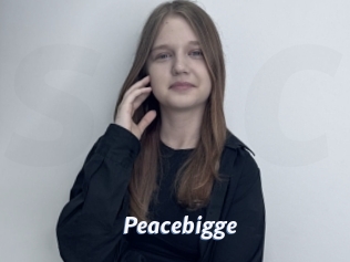 Peacebigge