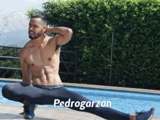 Pedrogarzon