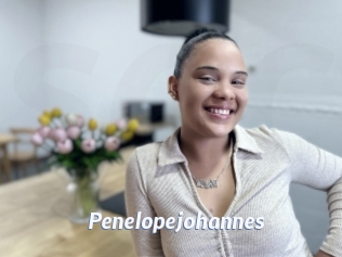 Penelopejohannes