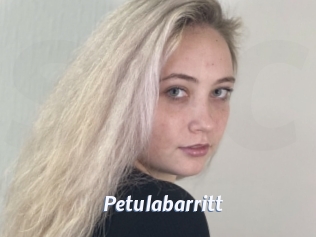 Petulabarritt