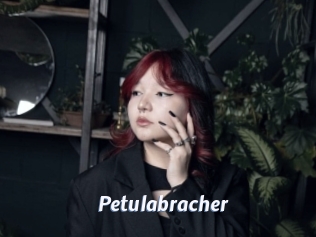 Petulabracher