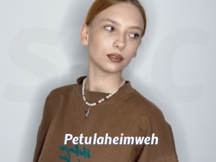 Petulaheimweh