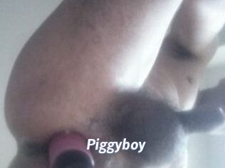 Piggyboy