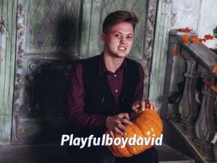 Playfulboydavid
