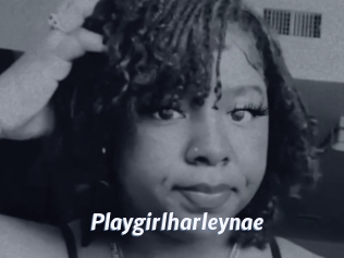 Playgirlharleynae