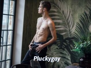 pluckygay Sexe amateur contributions