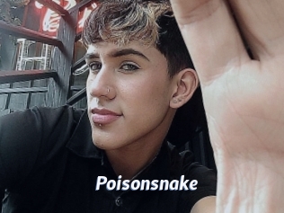 Poisonsnake