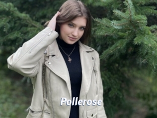 Pollerose