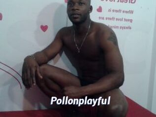 Pollonplayful