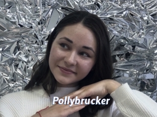 Pollybrucker