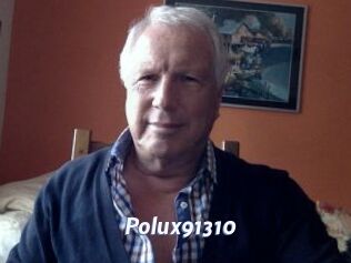 Polux91310