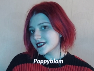 Poppyblom