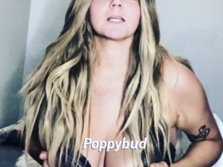 Poppybud