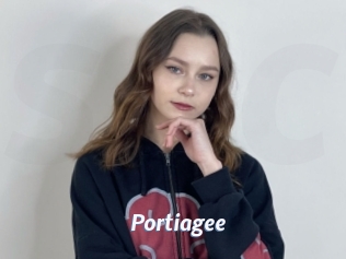 Portiagee
