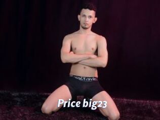 Price_big23