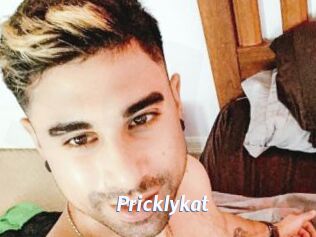 Pricklykat