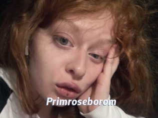 Primroseborom