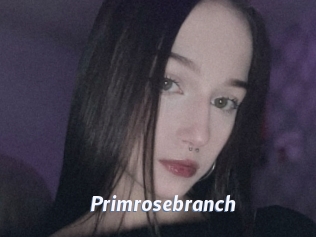 Primrosebranch