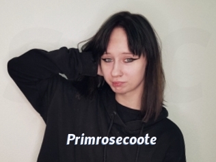 Primrosecoote